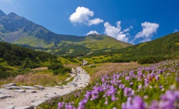 House Hanka, High Tatras Stará Lesná Esterno foto